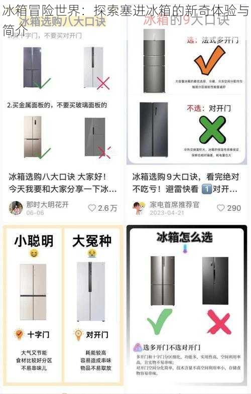 冰箱冒险世界：探索塞进冰箱的新奇体验与简介